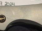 IMG_4453.jpeg