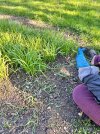 IMG_2676.jpeg