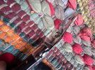 IMG_3397.jpeg