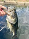 IMG_9640.jpeg