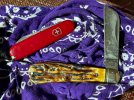 IMG_4670.jpeg