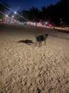 IMG_7735.jpeg