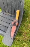 IMG_3623.jpeg