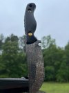 IMG_7617.jpeg