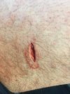 IMG_1882.jpeg