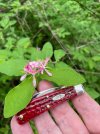 IMG_9866.jpeg