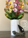 IMG_6683.jpeg
