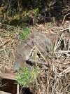 IMG_4276.jpeg