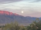 IMG_9669.jpeg