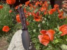 IMG_1300.jpeg