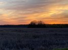 IMG_3361.jpeg