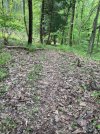 IMG_9895.jpeg