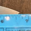 IMG_1286.jpeg