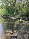 IMG_0044.jpeg