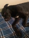 IMG_7806.jpeg