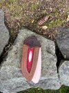IMG_8021.jpeg