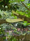 IMG_8034.jpeg