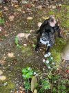 IMG_8035.jpeg