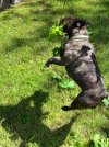 IMG_8049.jpeg