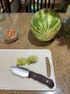 IMG_8058.jpeg