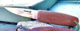 IMG_0595.jpeg