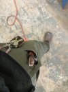 IMG_3477.jpeg