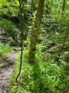 IMG_9930.jpeg