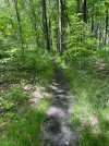IMG_9936.jpeg