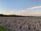 IMG_3424.jpeg