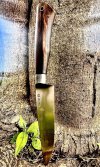 IMG_0677.jpeg