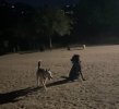 IMG_7821.jpeg