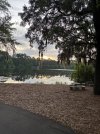 IMG_0907.JPG