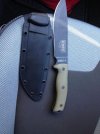 ImageUploadedByTapatalk1407826261.906784.jpg