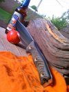 IMAG0528.jpg