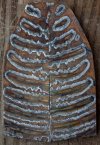 HHH Knives handles for sale 030 (443x640).jpg