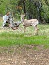 IMG_7711.jpeg