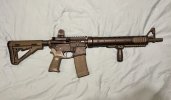 IMG_6385.jpeg