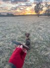 IMG_8856.jpeg