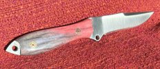 IMG_1383.jpeg