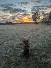 IMG_8852.jpeg