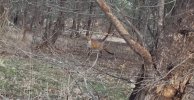 IMG_8870.jpeg