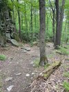 IMG_9988.jpeg