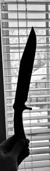 IMG_5553.jpeg