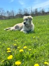 IMG_7894.jpeg