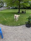 IMG_9247.jpeg
