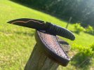 IMG_7899.jpeg