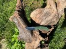 IMG_8152.jpeg