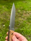IMG_1500.jpeg