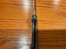 IMG_1529.jpeg