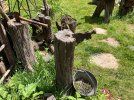 IMG_8164.jpeg
